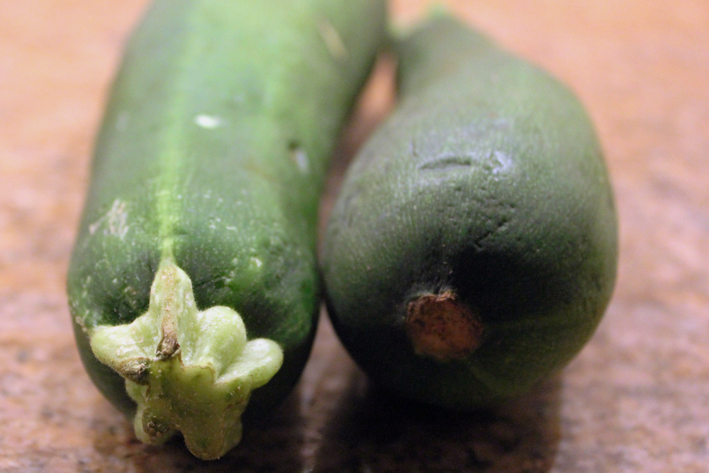 zucchini bread 1