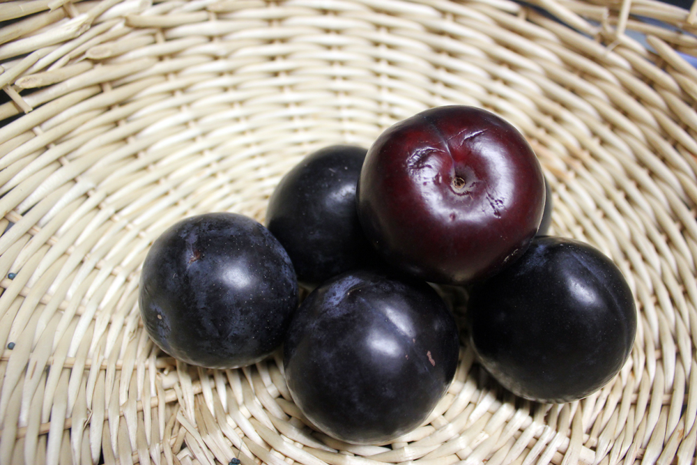 plum galette 1